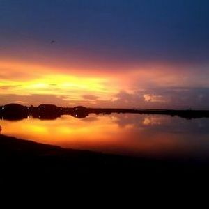 Meet your Posher, Elva